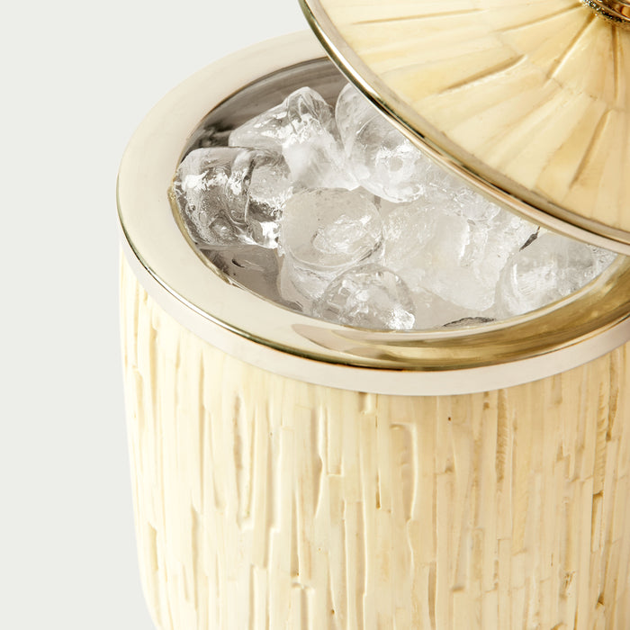 Bone Ice Bucket